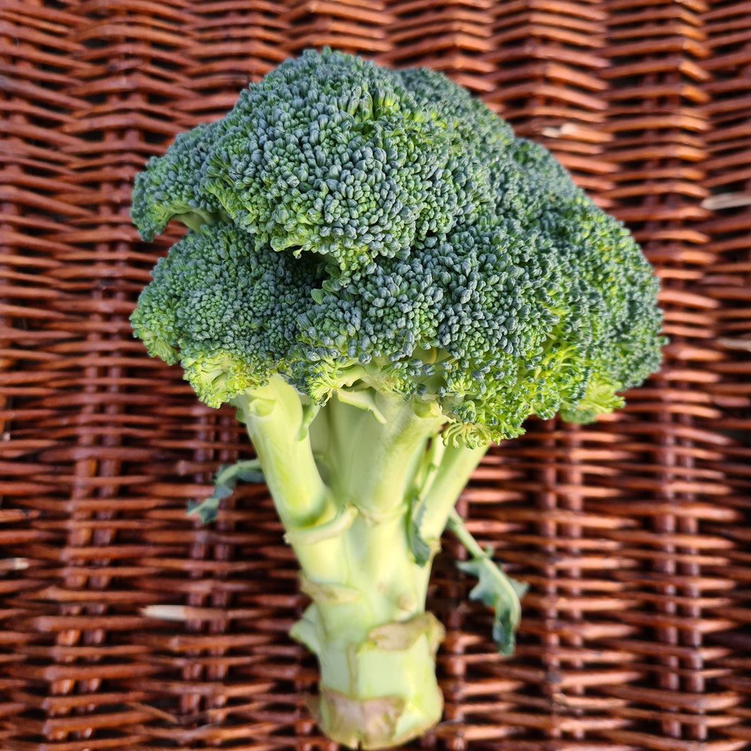 Watson's Veggies - Broccoli