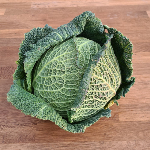 Watson's Veggies - Savoy Cabbage