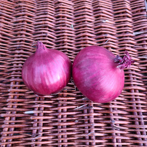 Watson's Veggies - Red Onions