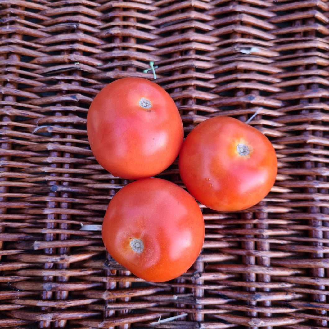 Watson's Veggies - Tomatoes 