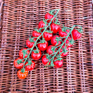 Watson's Veggies - Vine Cherry Tomatoes