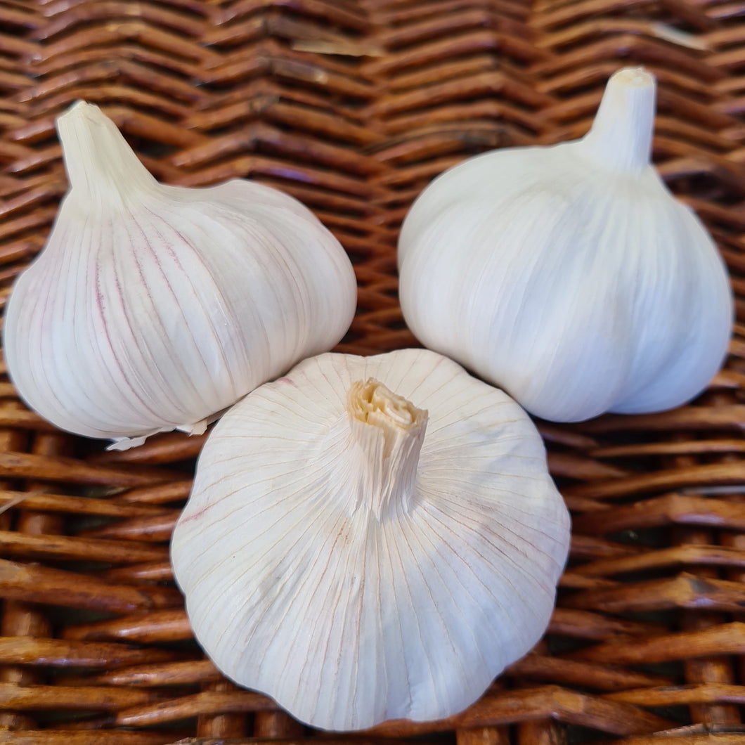 Garlic (per bulb)