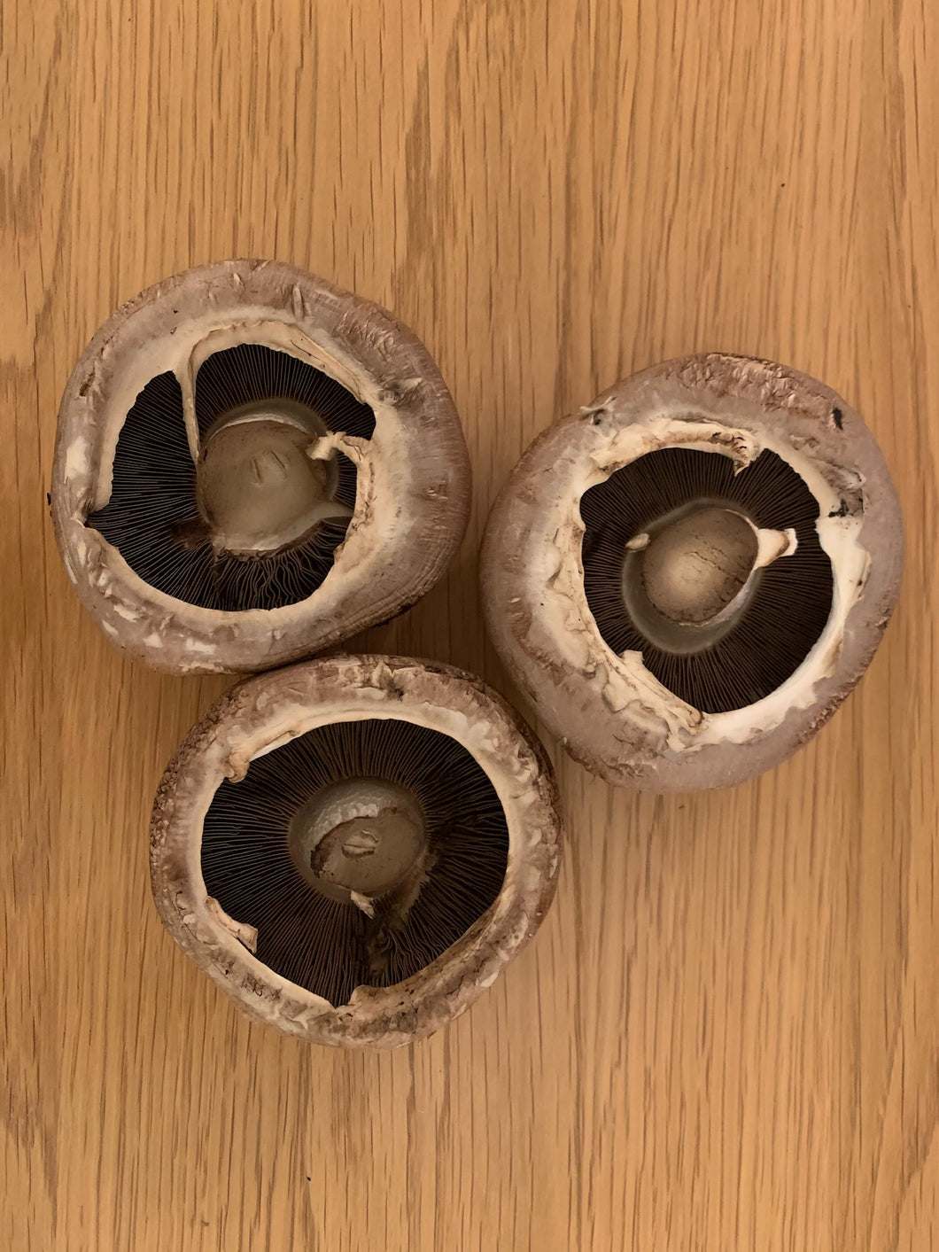 Portobello Mushrooms (per 250g)